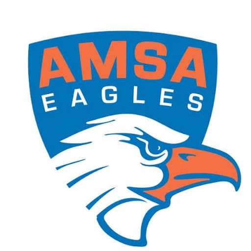 AMSA Charter